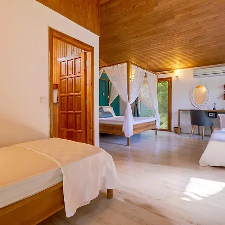 Bed & Breakfast Etenna Çıralı