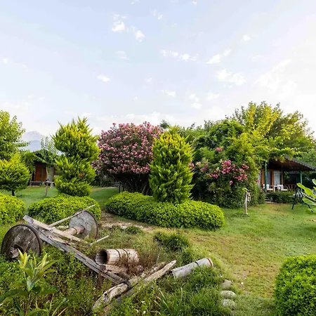 Etenna 4* Çıralı