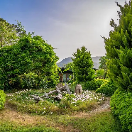 Etenna 4* Чирали