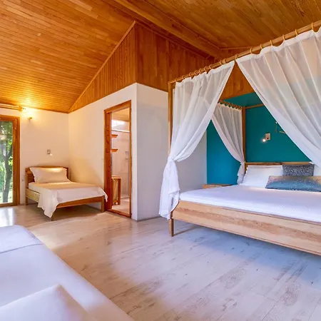 Etenna 住宿加早餐酒店 Çıralı