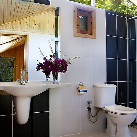 Etenna 住宿加早餐酒店 Çıralı