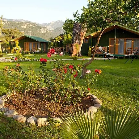 أتينا بيتش بنغلوز 4* Çıralı