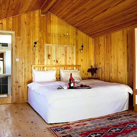 Etenna 住宿加早餐酒店 Çıralı