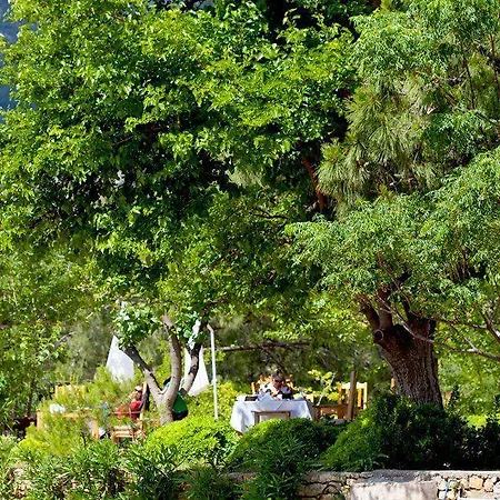 住宿加早餐酒店 Etenna 4*