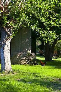 Etenna Отель типа 