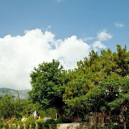 Etenna Bed & Breakfast 4*